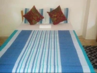 Green House Sviatohirsk 4*