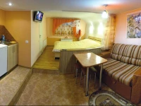 Villa Truskavets Vacation Home 3*