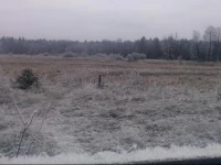 Agrousadba Lesnaya Skazka