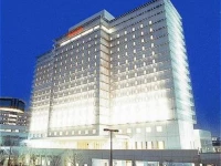 Kansai Airport Washington 3*