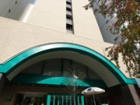 Chisun Hotel Shinsaibashi Osaka 4*