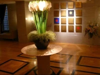 Hotel il Grande Umeda 2*