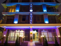 ANI Boutique Hotel 3*