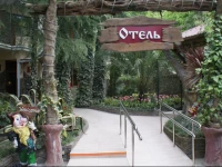 Olesya Hotel 3*
