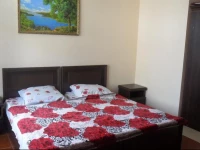 Alina Guest House Berezovyi 4 2*