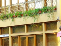 Alyans Guest House 3*