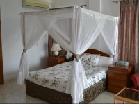 Green House Guest house 3*