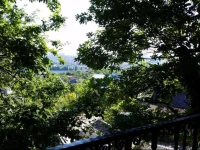 Emily Guest House 5*