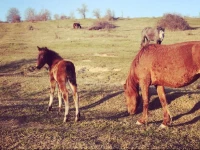 na Fermerskoy Guest House 3*