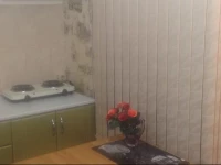 Kvartiry na Vzletnoy 3*