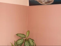 Olimpiysky Dvorik Guest House 3*