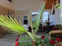 Panorama Guest House 3*