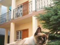 Elis guest house (Shevchenko 92) 3*