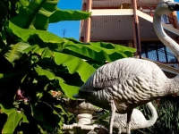 Flamingo N Guest House 2*