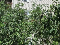 Zolotoy Bereg Guest House 2*