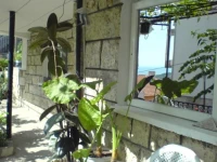 Hristovi (РҐСЂРёСЃС‚РѕРІРё)