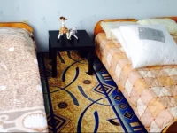 Dom Vinogradnaya 9 guest house