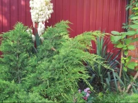 Laguna na Khalturina 2*