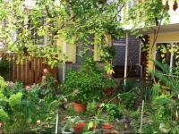 Lovely Place Guesthouse 2*