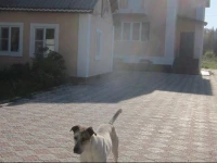 Vacation house in Yasnaya Polyana 3*