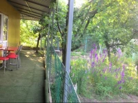 Morskaya Guest House