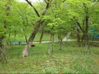 Zolotoy Kolos Baza Otdyha