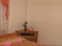 Apelsin Hostel on Sibirskiy Trakt 3*