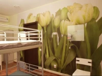 Vhostele Hostel  4*