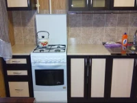 Kvartira na Gavrilova 3*