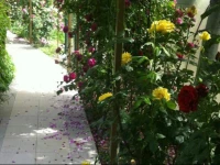 Chugush Holiday Home 5*