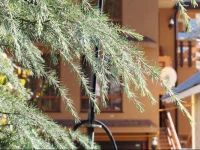 Alpika Guest House 3*