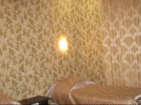 Tsentralniy Guest House 3*