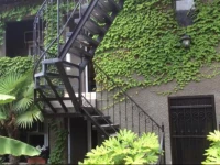 Svetlana Gostevoy Dom 2*