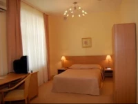 Ekaterinburg Centralnyi Hotel 3*