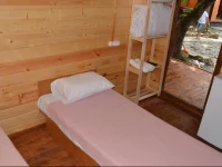 Mozhzhevelovy Ray 2*