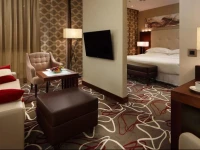Sheraton Moscow Sheremetyevo Airport Hotel 4*