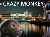 Crazy Monkey Hostel next to the Moscow Zoo 2*