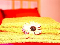 Delight Inn Polyanka mini hotel 3*