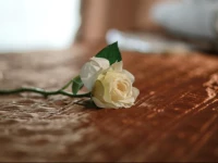 Mini Hotel Paradise on Kitay-Gorod 2*