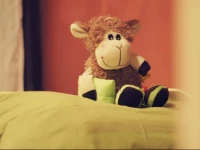 Polyanka Hostel on Chistye Prudy 3*