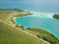 Turtle Bay Resort Espiritu Santo 2*