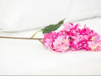 Na Vostochnoy Guest House 3*