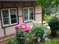 Cottage in Novye Eltsy