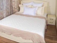 Albergo Mini Hotel 3*