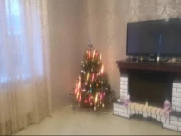 Green Garden Holiday Home 3*