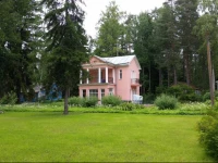 Cottages in Repino 3*