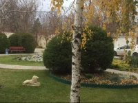 Zolotoy Lev Hotel 3*