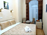 Domotelli Nevsky mini hotel 3*