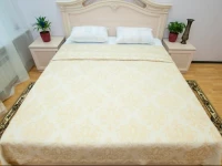 Venetsiya na Nevskom 3*