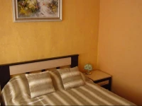 Absolut Guest House St.Petersburg 3*